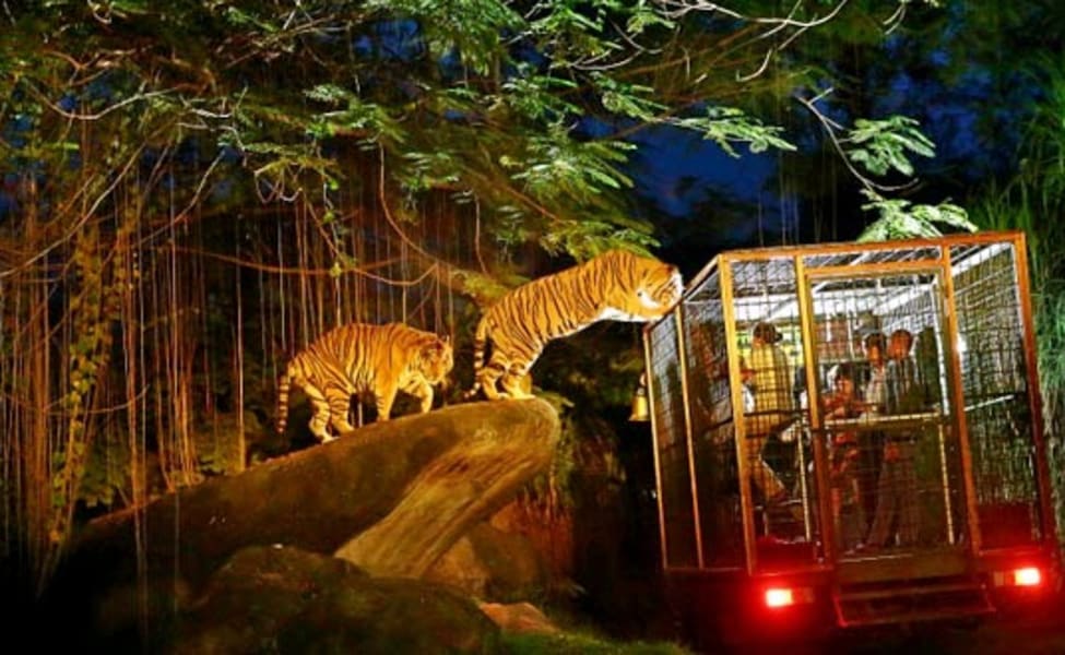 Celebrate Unforgettable Experience at Night Safari Singapore