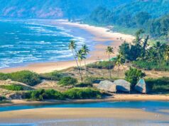 Explore Goa’s Beauty: Places to Visit, Local Cuisine, and Nightlife goa