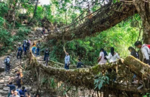 Top Places to Visit in Meghalaya: Unveiling the Natural Beauty meghalaya