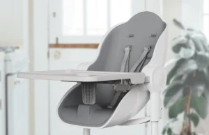 Best Infant Exersaucer and Cocoon Chair for Your Baby’s Development cocoon chair